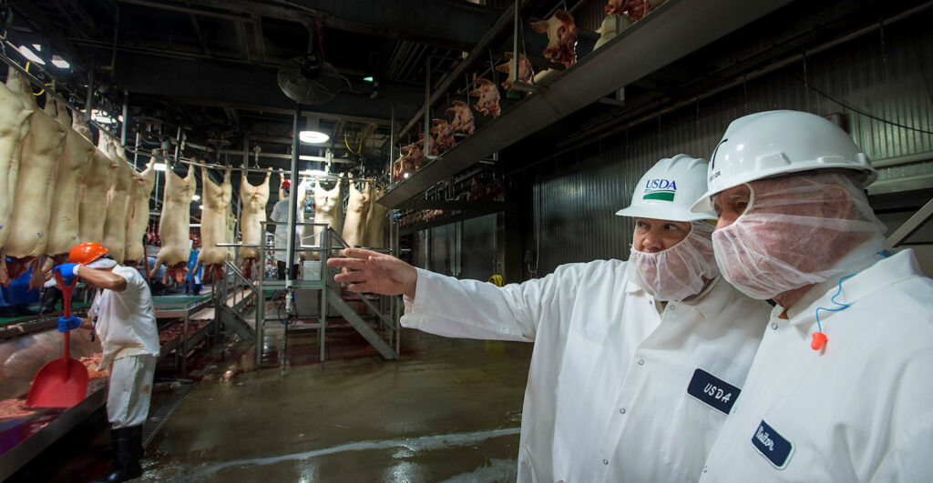 USDA inspector examining meat processing facility