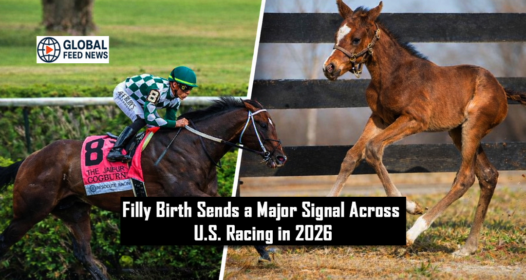 Filly Birth Sends a Major Signal Across U.S. Racing in 2026.
